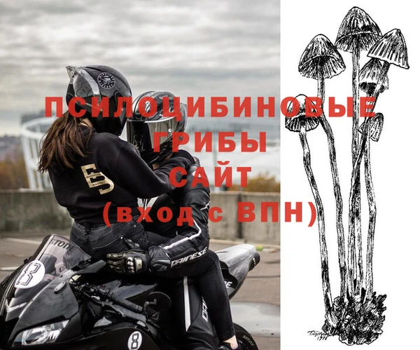 каннабис Арсеньев