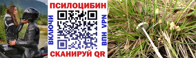 Галлюциногенные грибы прущие грибы  наркотики  blacksprut ТОР  дарк нет телеграм  Зуевка 